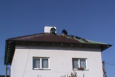 Rekonstrukce střechy krov