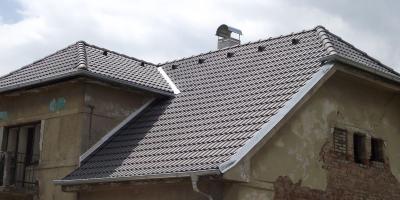 Bramac Alpská Classic Protector ebenově černá Bramac Alpská Classic Protector ebenově černá