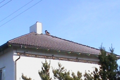 Rekonstrukce střechy krov