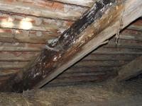 Posouzení stavu krokví Posouzení stavu krokví